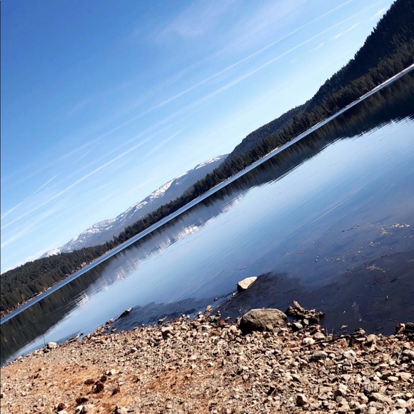 Meet your Posher, Maddie - Picture 1 of 1